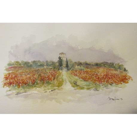 Verso la vendemmia